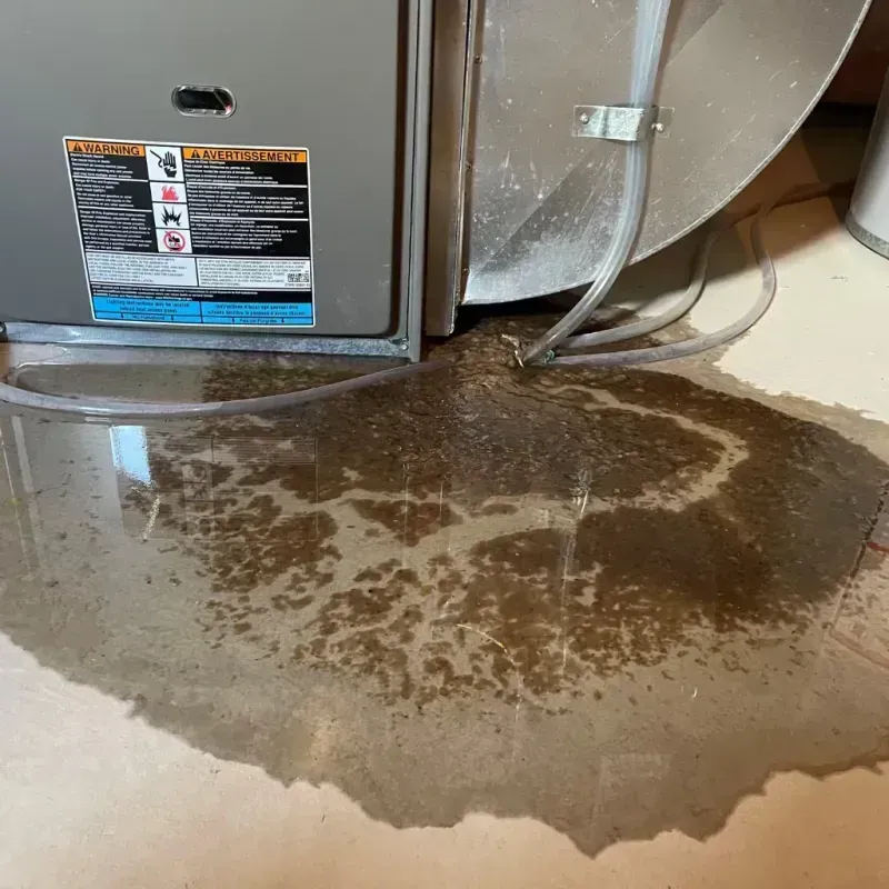 Appliance Leak Cleanup in Hiram, ME